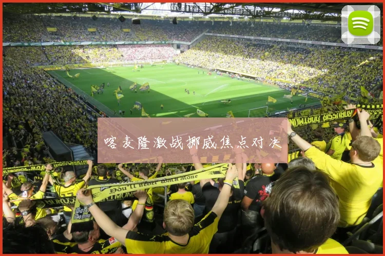 喀麦隆激战挪威焦点对决
