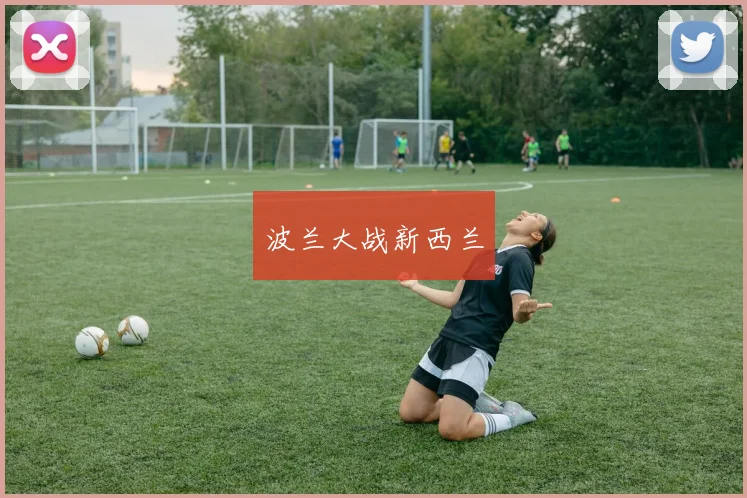 波兰大战新西兰