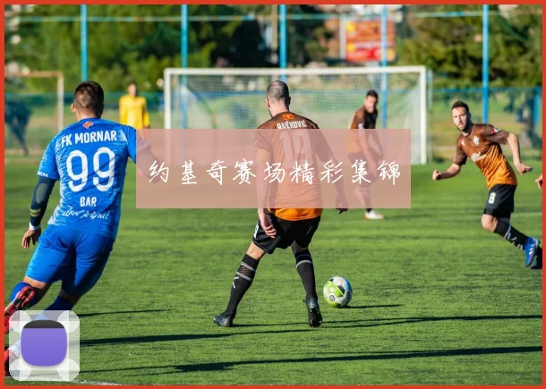 约基奇赛场精彩集锦