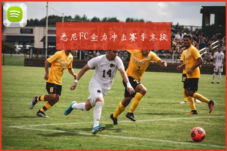 悉尼FC全力冲击赛季末段