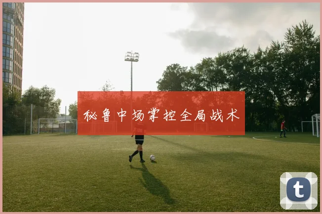 秘鲁中场掌控全局战术