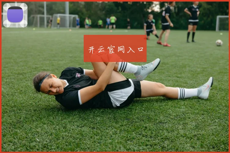 开云官网入口