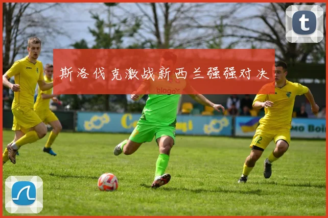 斯洛伐克激战新西兰强强对决