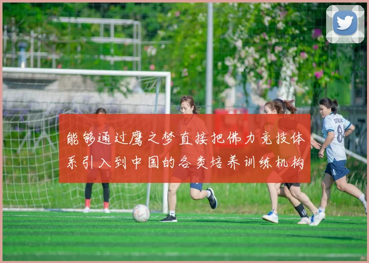 能够通过鹰之梦直接把佛力竞技体系引入到中国的各类培养训练机构
