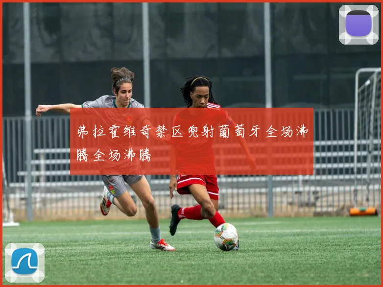 弗拉霍维奇禁区兜射葡萄牙全场沸腾全场沸腾