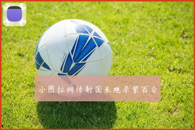 小图拉姆传射国米绝杀紫百合