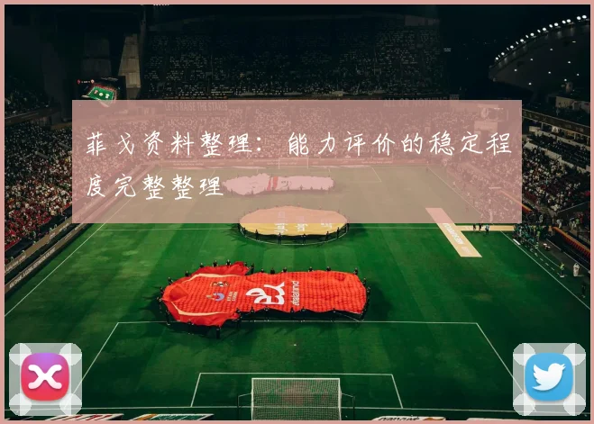 菲戈资料整理:能力评价的稳定程度完整整理