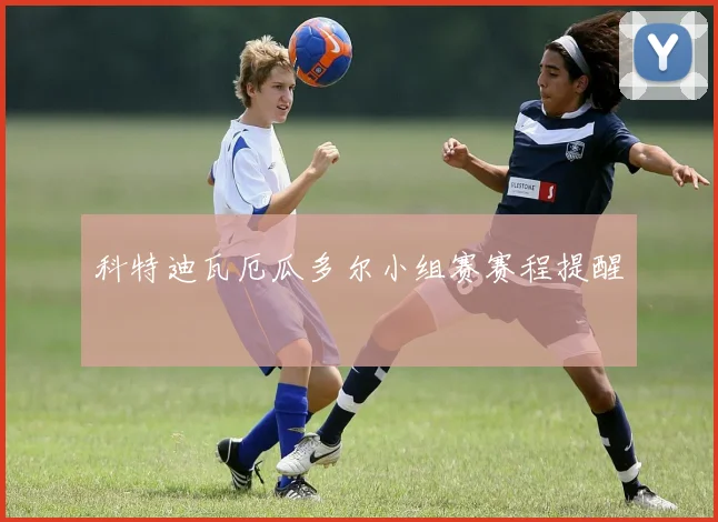 科特迪瓦厄瓜多尔小组赛赛程提醒