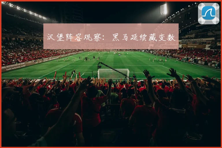 汉堡阵容观察:黑马延续藏变数
