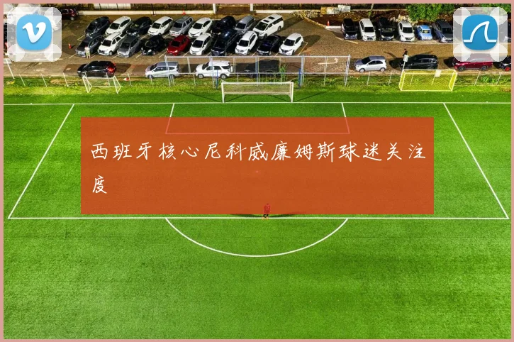 西班牙核心尼科威廉姆斯球迷关注度