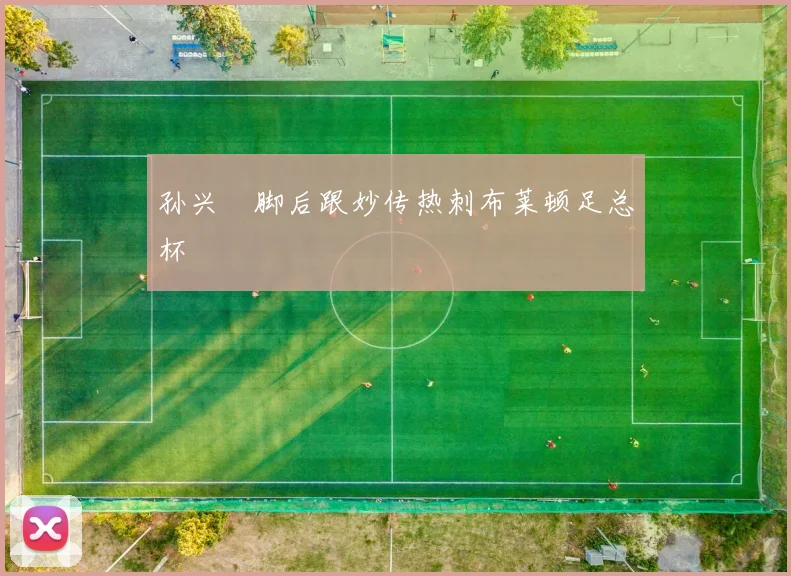 孙兴慜脚后跟妙传热刺布莱顿足总杯