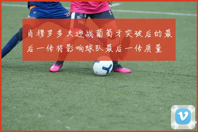 肖穆罗多夫迎战葡萄牙突破后的最后一传将影响球队最后一传质量