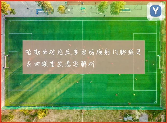 哈勒面对厄瓜多尔防线射门脚感是否回暖首发悬念解析