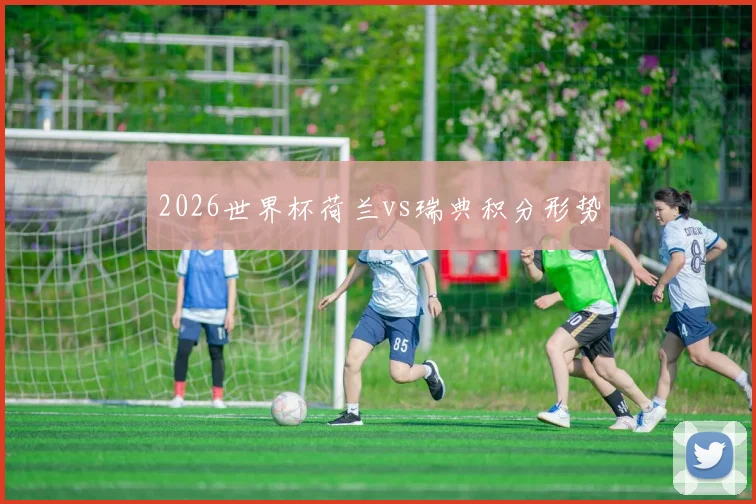 2026世界杯荷兰vs瑞典积分形势