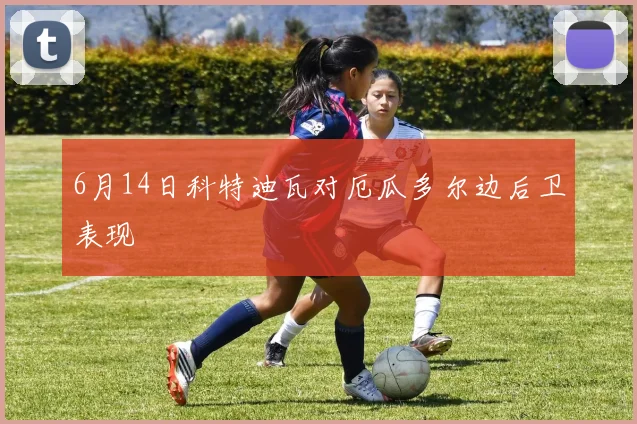 6月14日科特迪瓦对厄瓜多尔边后卫表现