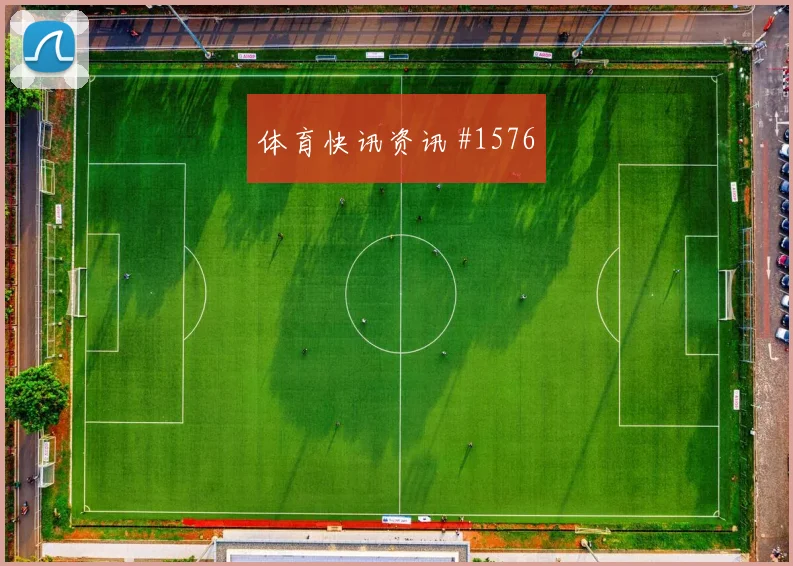 西班牙核心尼科威廉姆斯球迷关注度