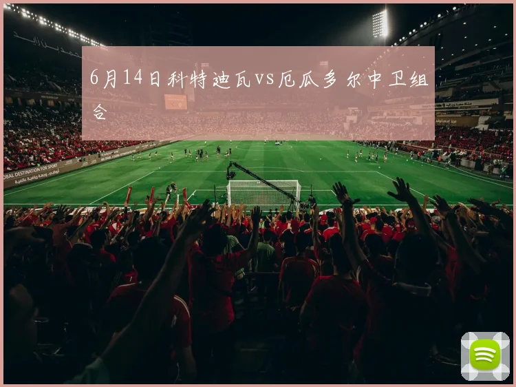 6月14日科特迪瓦vs厄瓜多尔中卫组合