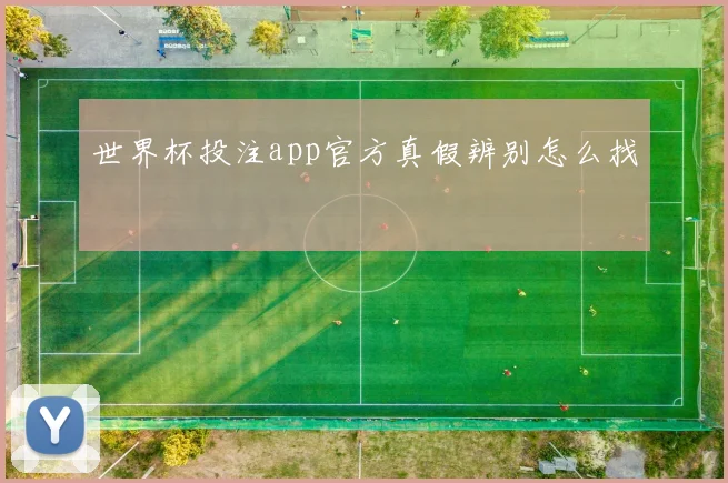 世界杯投注app官方真假辨别怎么找