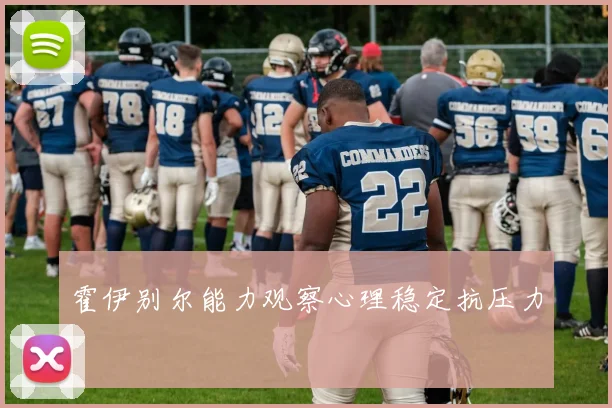 霍伊别尔能力观察心理稳定抗压力